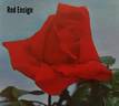Red Ensign rose photo