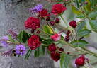 Kersbergen rose photo