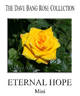 Eternal Hope rose photo