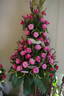 Deep Water rose photo