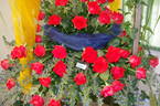 Ashram rose photo