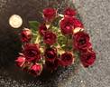 Shawn Boy rose photo