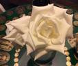 Madame Louis Lens rose photo