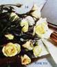Pour Toi rose photo
