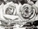 Mrs. George Shawyer rose photo