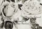 Madame Charles Dubreuil rose photo