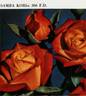 Samba ® rose photo