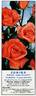 Zorina rose photo