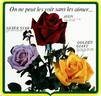 Avon ® rose photo