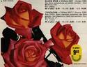 Reine des Roses rose photo