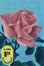 Mers du Sud rose photo