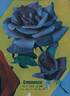 Eminence ® rose photo