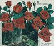 Rusticana ® rose photo