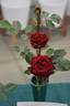 Red Beauty rose photo