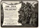 Philadelphia rose photo