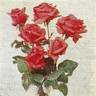 Beatrice Boeke rose photo