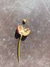 Elie Beauvilain rose photo