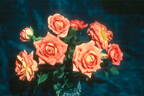 Apricot Doll rose photo