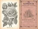 Madame Paul Marmy rose photo