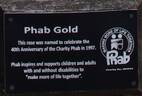 Phab Gold Rose rose photo