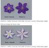Rhapsody clematis photo