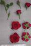 PACfive rose photo