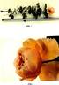 80100WABARA-CP rose photo