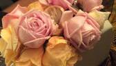 Geffel rose photo