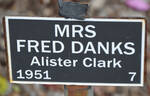 Mrs. Fred Danks rose photo