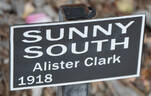 Sunny South rose photo