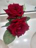 Chrysler Imperial rose photo
