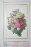 Louise de Savoie rose photo