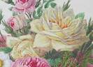 Louise de Savoie rose photo