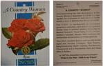 A Country Woman rose photo