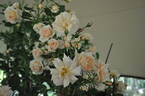 Baron Wauthier de Ligne rose photo