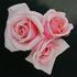 Peggy Lee rose photo