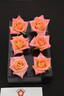 Wright Touch rose photo