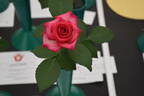 Renegade rose photo