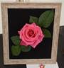 Hot Princess rose photo