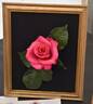 Hot Princess rose photo