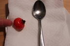 Sweet Hips rose photo