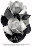 Antoine Rivoire rose photo