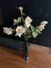 Mrs. Harold Brocklebank rose photo