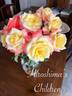 Hiroshima's Children rose photo