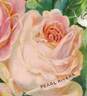 Pearl Rivers rose photo