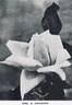 Mrs. Amy Hammond rose photo