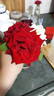 Vega rose photo