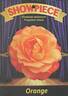 NOA39131 rose photo