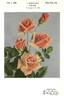 Aviator Parmentier rose photo