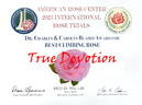 True Devotion rose photo